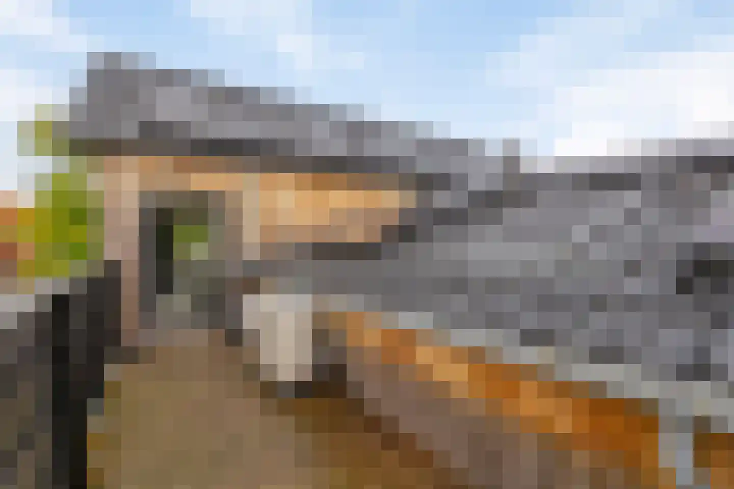 Meentsestraat 49 Giesbeek thumbnail 41