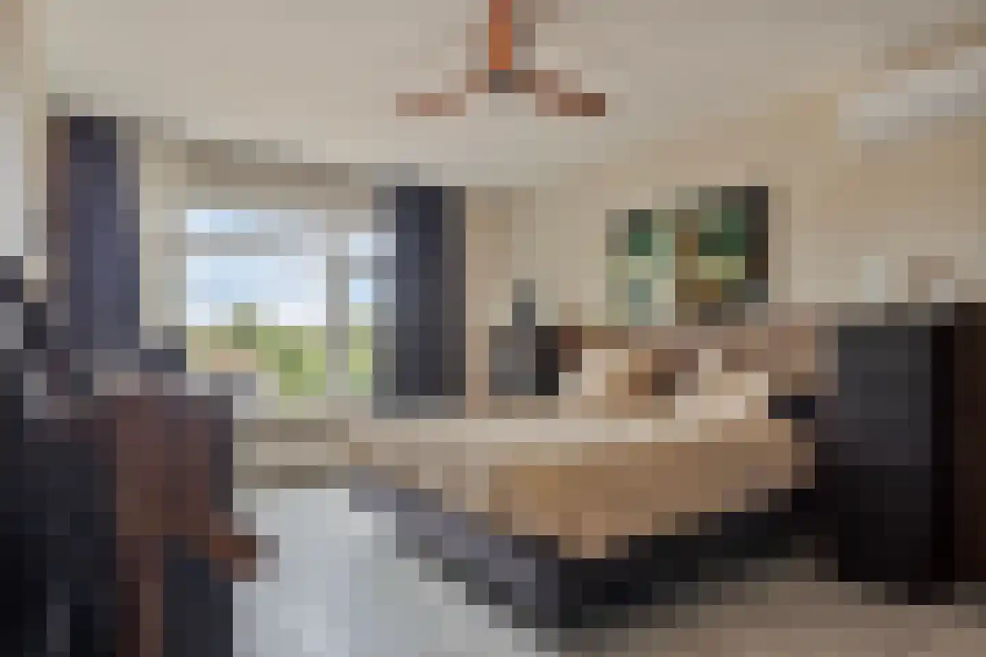 Meentsestraat 49 Giesbeek thumbnail 43