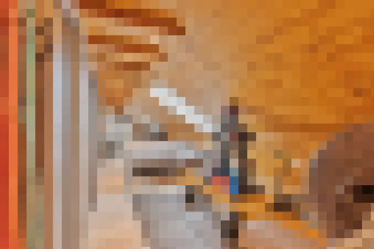 Meentsestraat 49 Giesbeek thumbnail 52