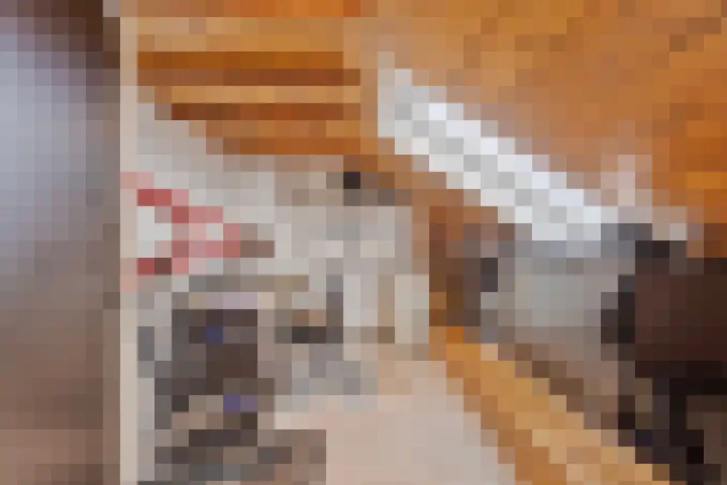 Meentsestraat 49 Giesbeek thumbnail 53
