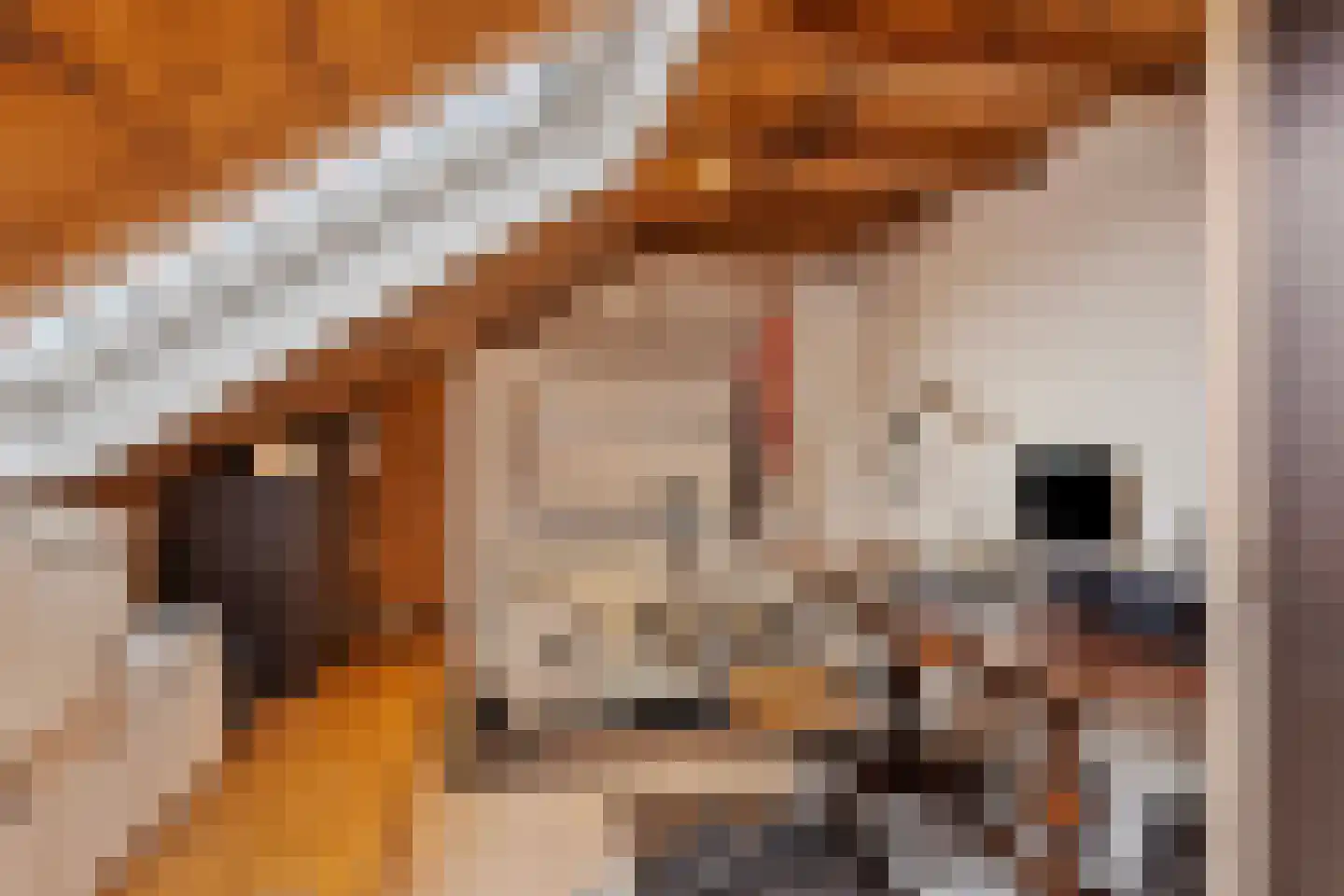 Meentsestraat 49 Giesbeek thumbnail 55