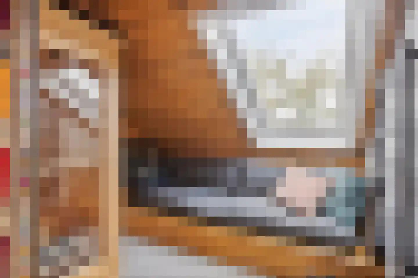 Meentsestraat 49 Giesbeek thumbnail 57