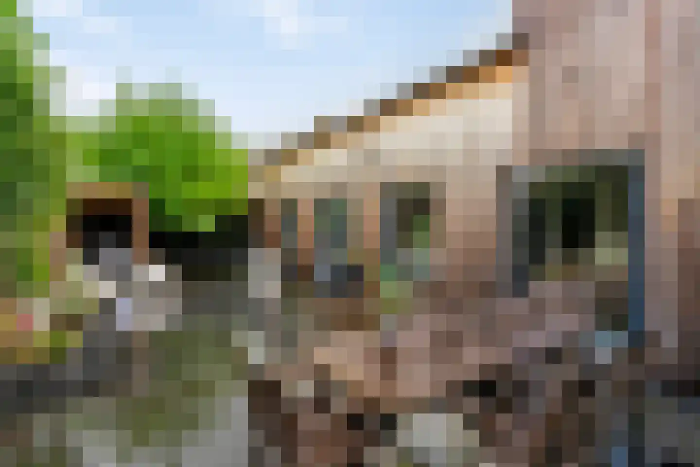 Meentsestraat 49 Giesbeek thumbnail 60