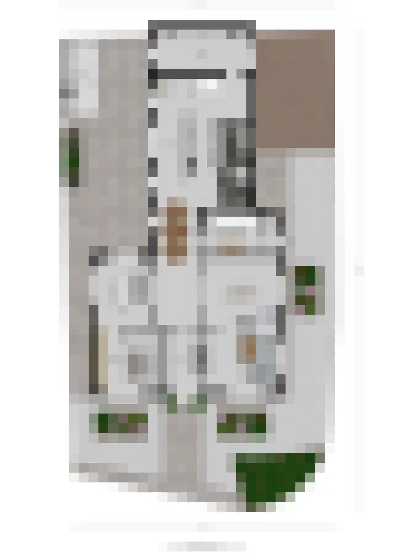 Meentsestraat 49 Giesbeek thumbnail 66