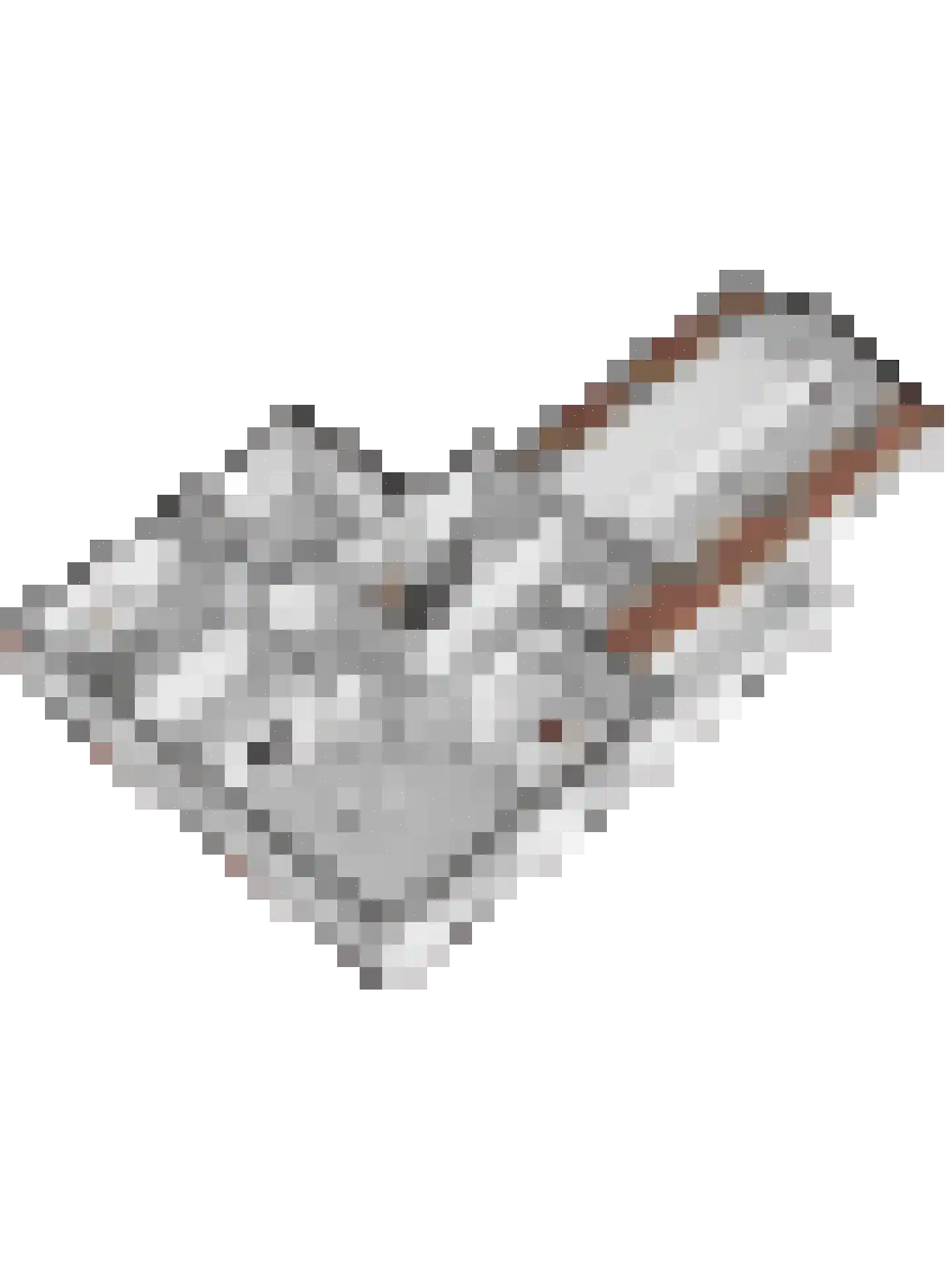 Meentsestraat 49 Giesbeek thumbnail 71