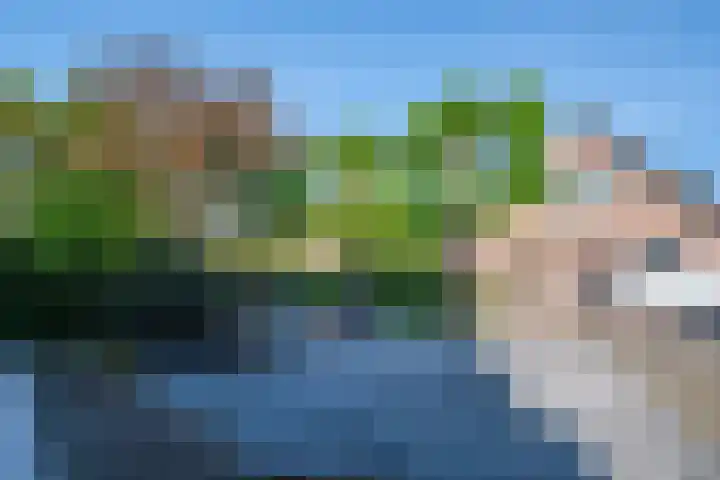 Meentsestraat 55 Giesbeek thumbnail 10