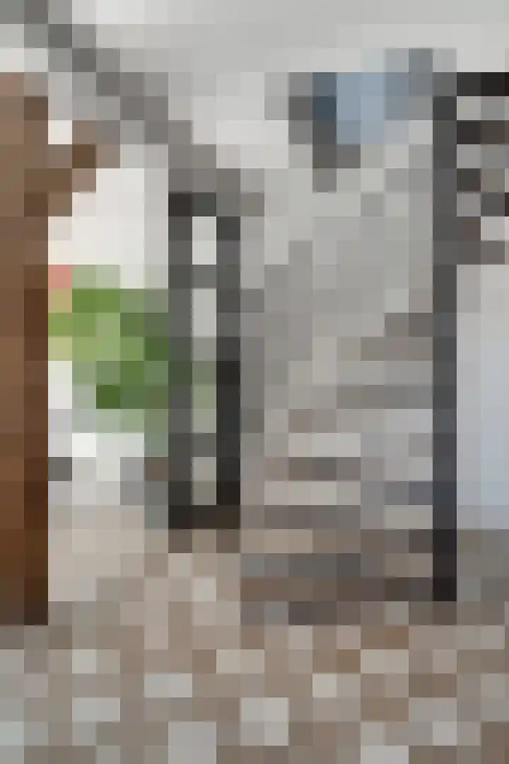 Meentsestraat 55 Giesbeek thumbnail 13