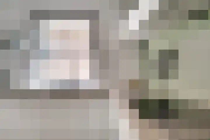 Meentsestraat 55 Giesbeek thumbnail 16