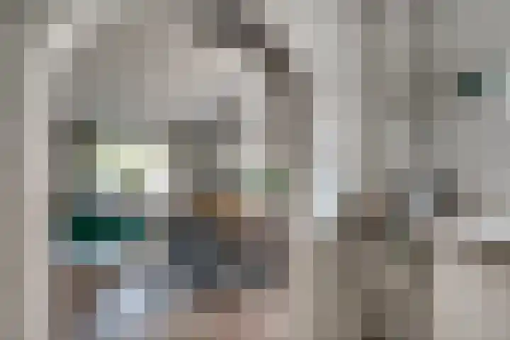 Meentsestraat 55 Giesbeek thumbnail 17