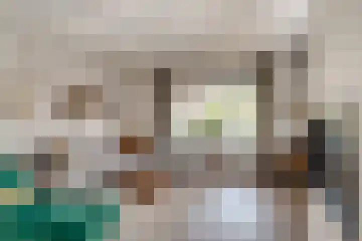 Meentsestraat 55 Giesbeek thumbnail 19
