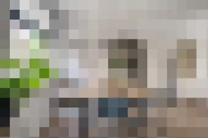 Meentsestraat 55 Giesbeek thumbnail 22