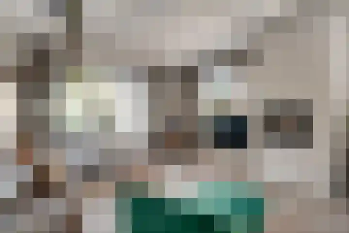Meentsestraat 55 Giesbeek thumbnail 23