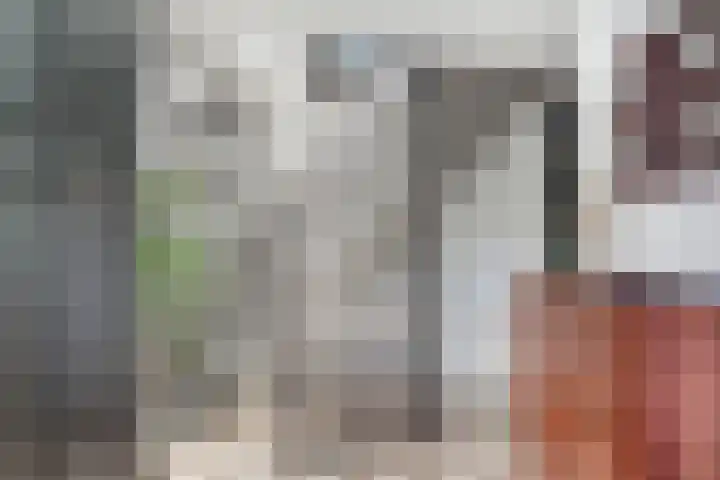 Meentsestraat 55 Giesbeek thumbnail 24