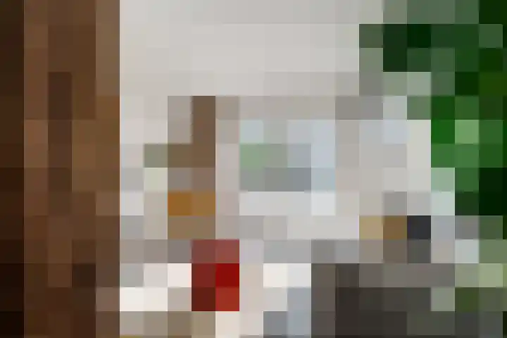 Meentsestraat 55 Giesbeek thumbnail 25