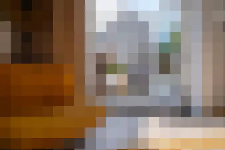 Meentsestraat 55 Giesbeek thumbnail 29