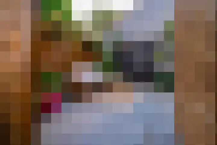 Meentsestraat 55 Giesbeek thumbnail 30