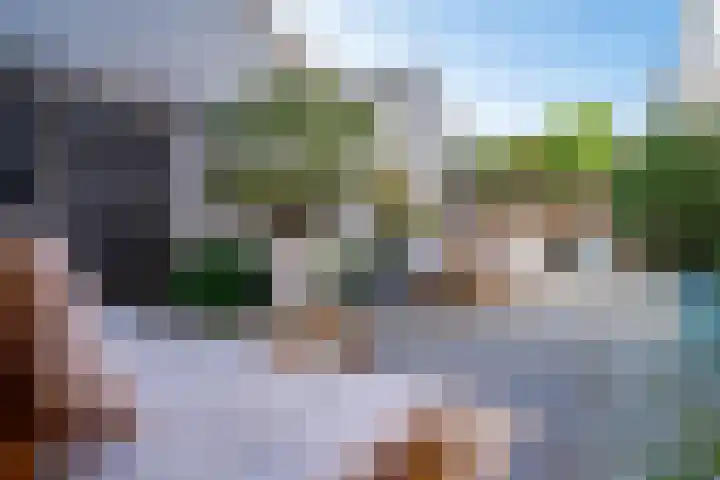 Meentsestraat 55 Giesbeek thumbnail 31