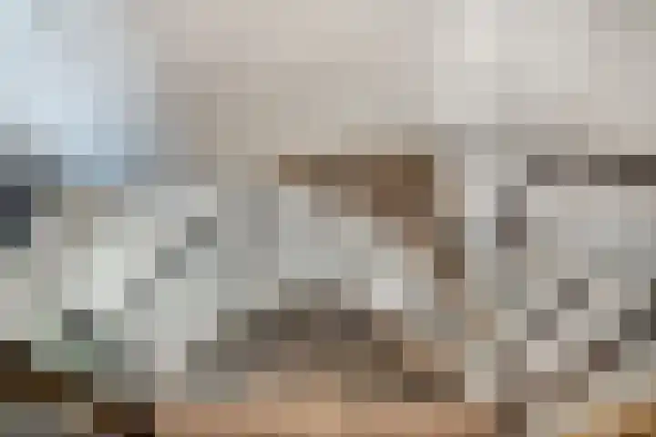 Meentsestraat 55 Giesbeek thumbnail 36