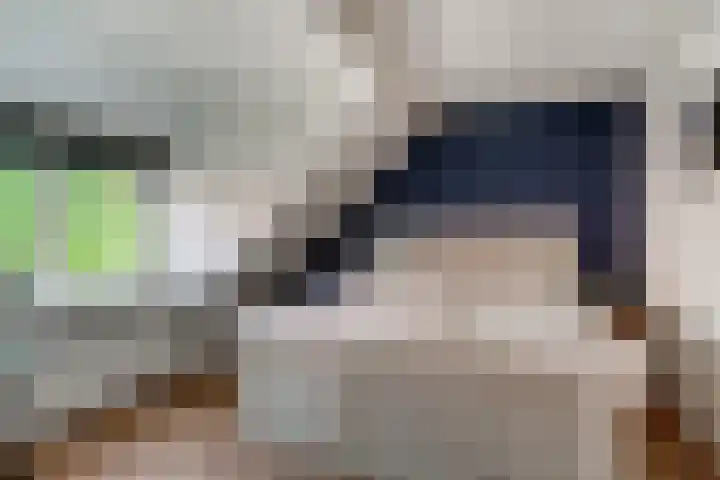 Meentsestraat 55 Giesbeek thumbnail 38