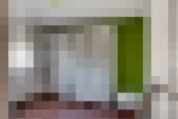 Meentsestraat 55 Giesbeek thumbnail 45