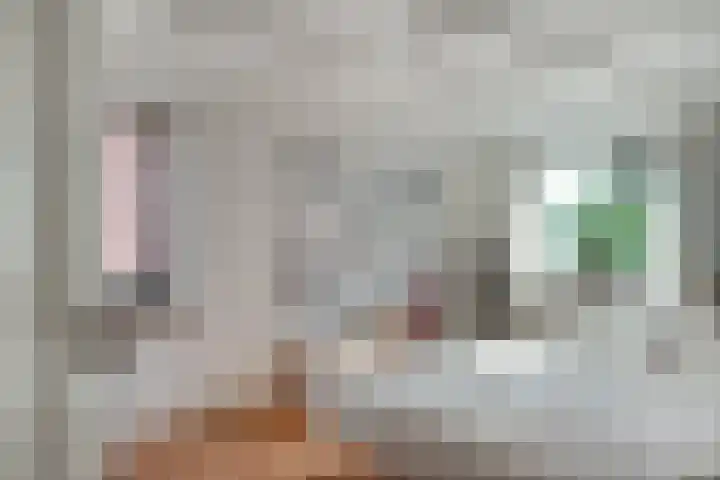 Meentsestraat 55 Giesbeek thumbnail 46