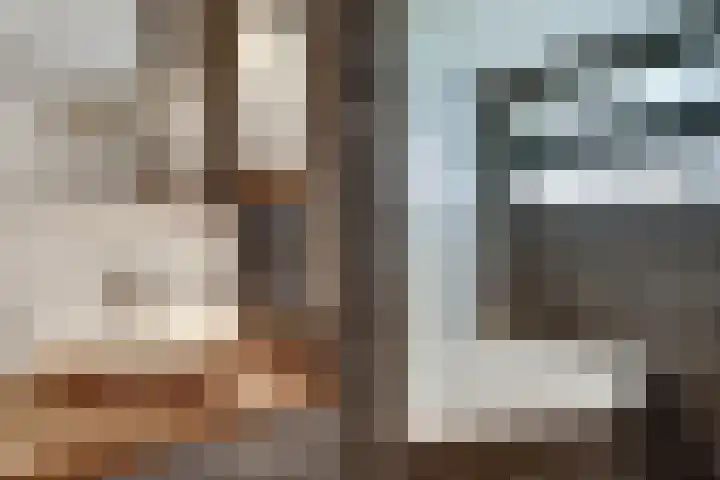 Meentsestraat 55 Giesbeek thumbnail 48