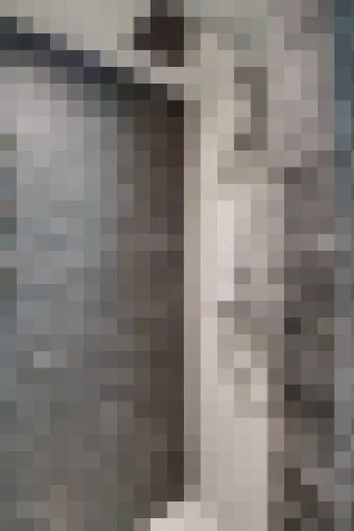 Meentsestraat 55 Giesbeek thumbnail 50