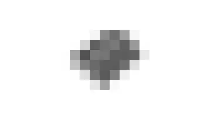 Meentsestraat 55 Giesbeek thumbnail 57