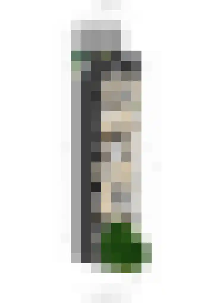 Meentsestraat 55 Giesbeek thumbnail 58