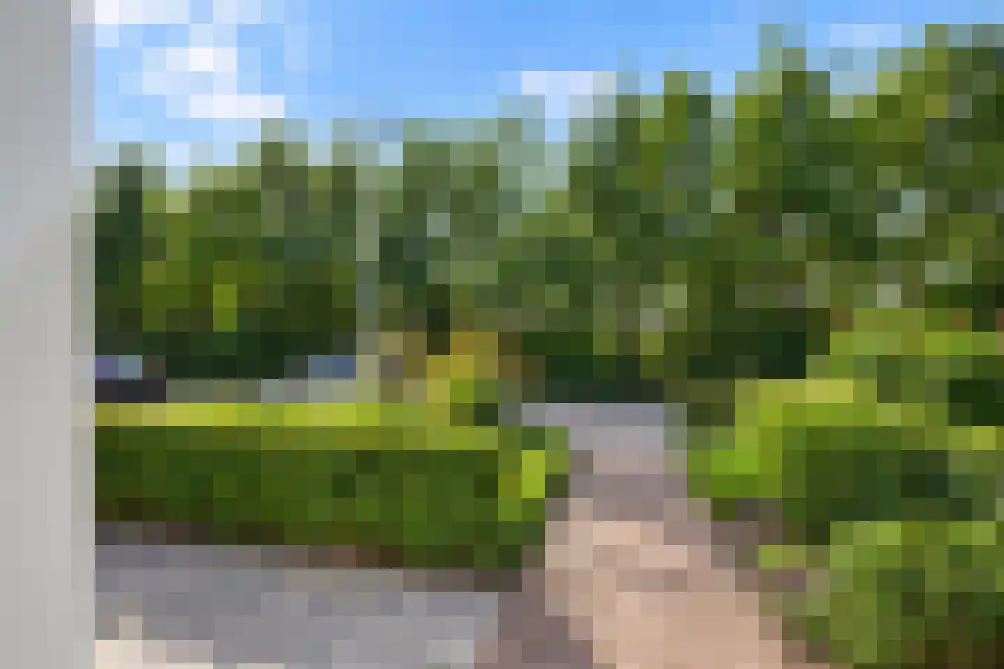 Meentstraat 2 Erichem thumbnail 10