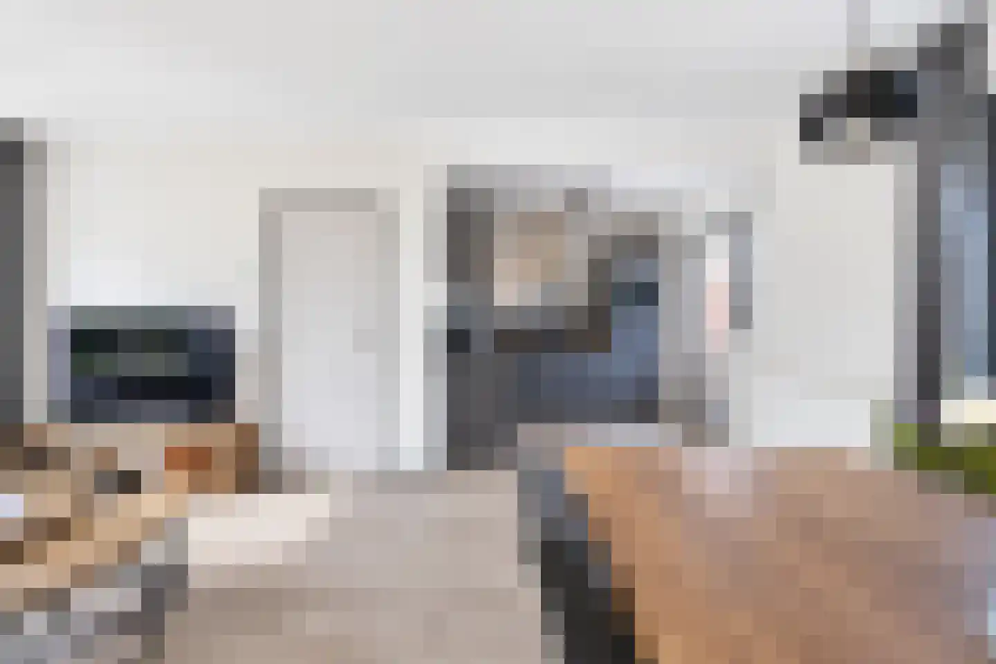 Meentstraat 2 Erichem thumbnail 20