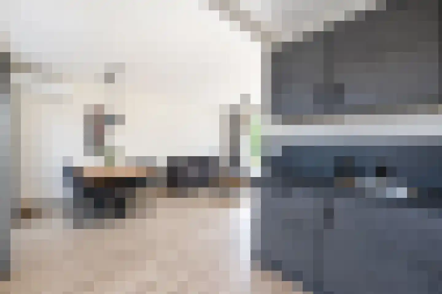 Meentstraat 2 Erichem thumbnail 27