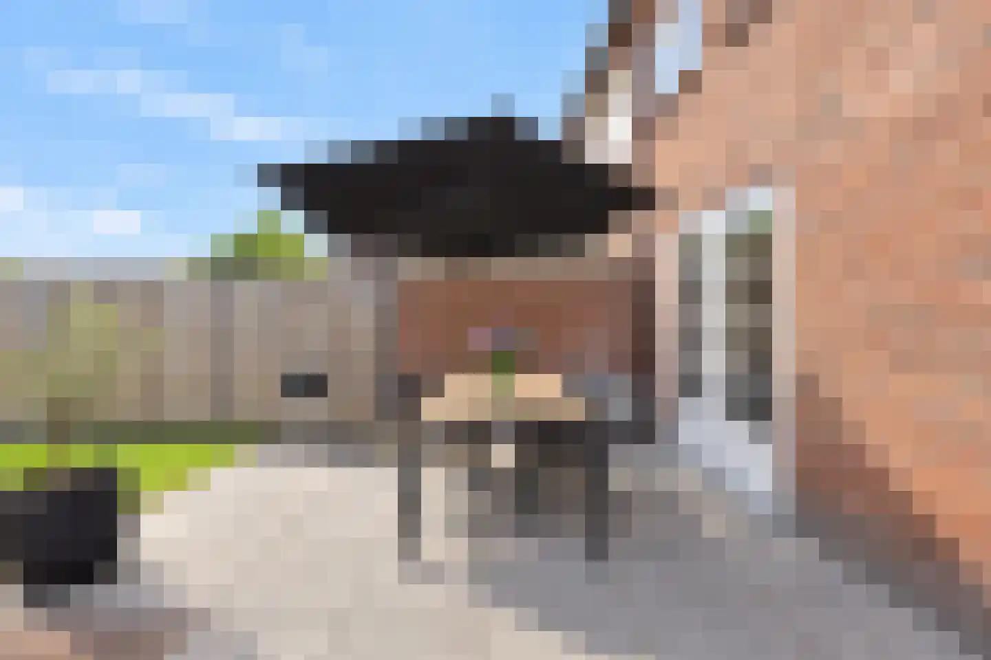 Meentstraat 2 Erichem thumbnail 29