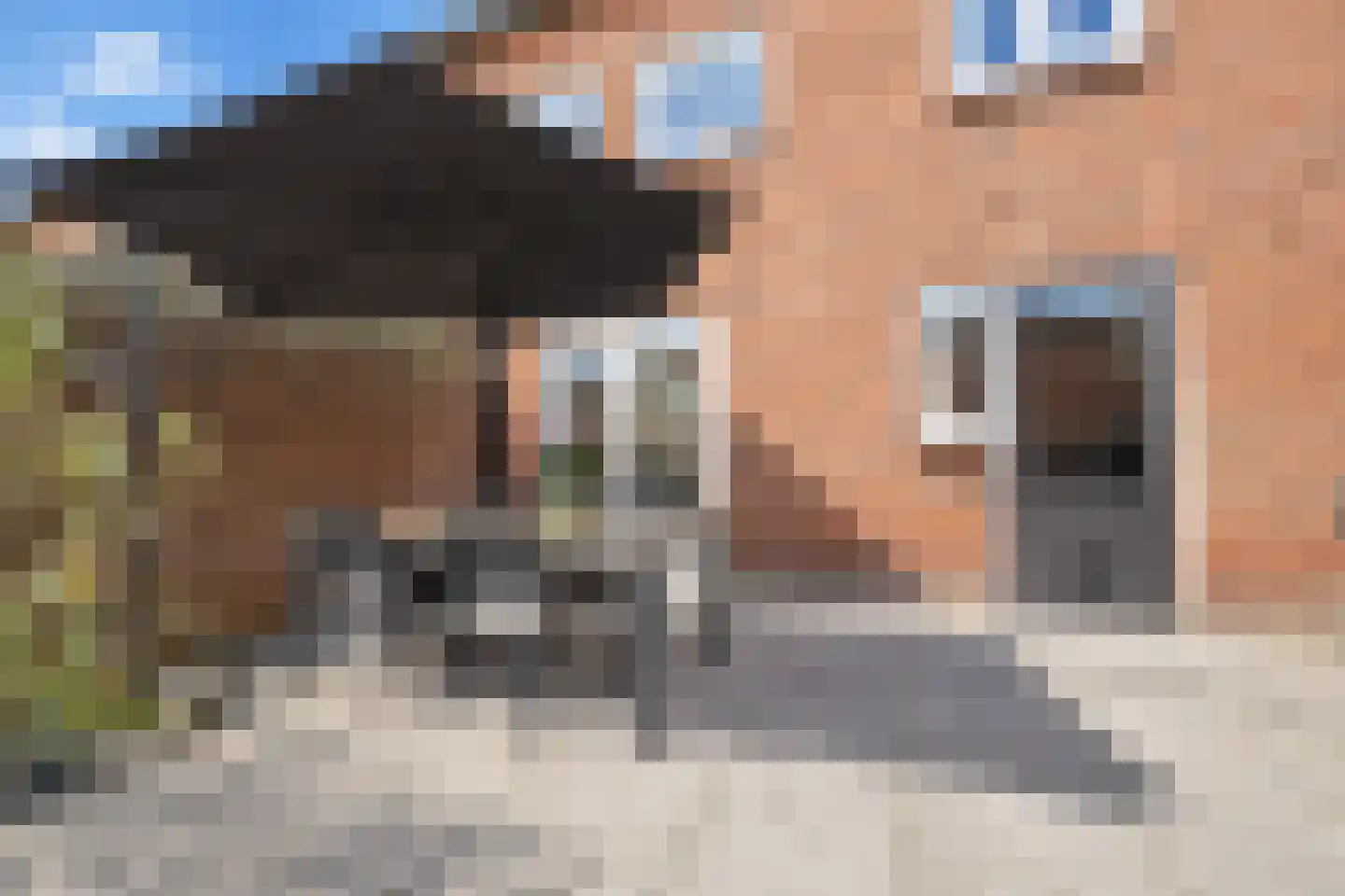 Meentstraat 2 Erichem thumbnail 43