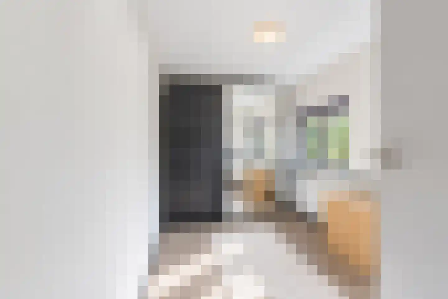 Meentstraat 2 Erichem thumbnail 50