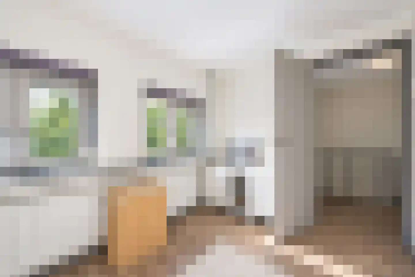 Meentstraat 2 Erichem thumbnail 51