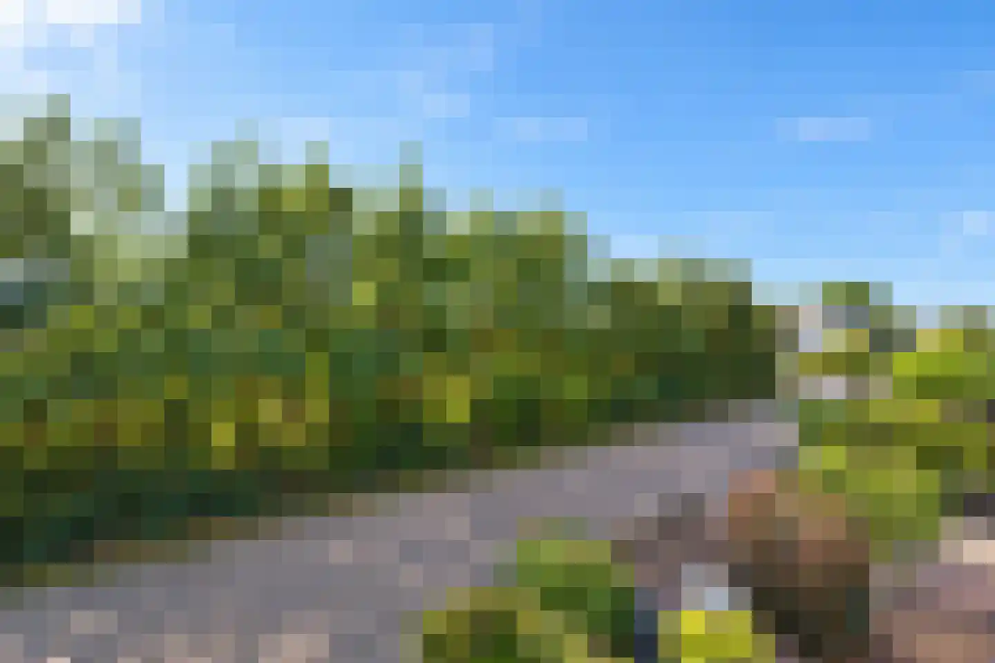 Meentstraat 2 Erichem thumbnail 52