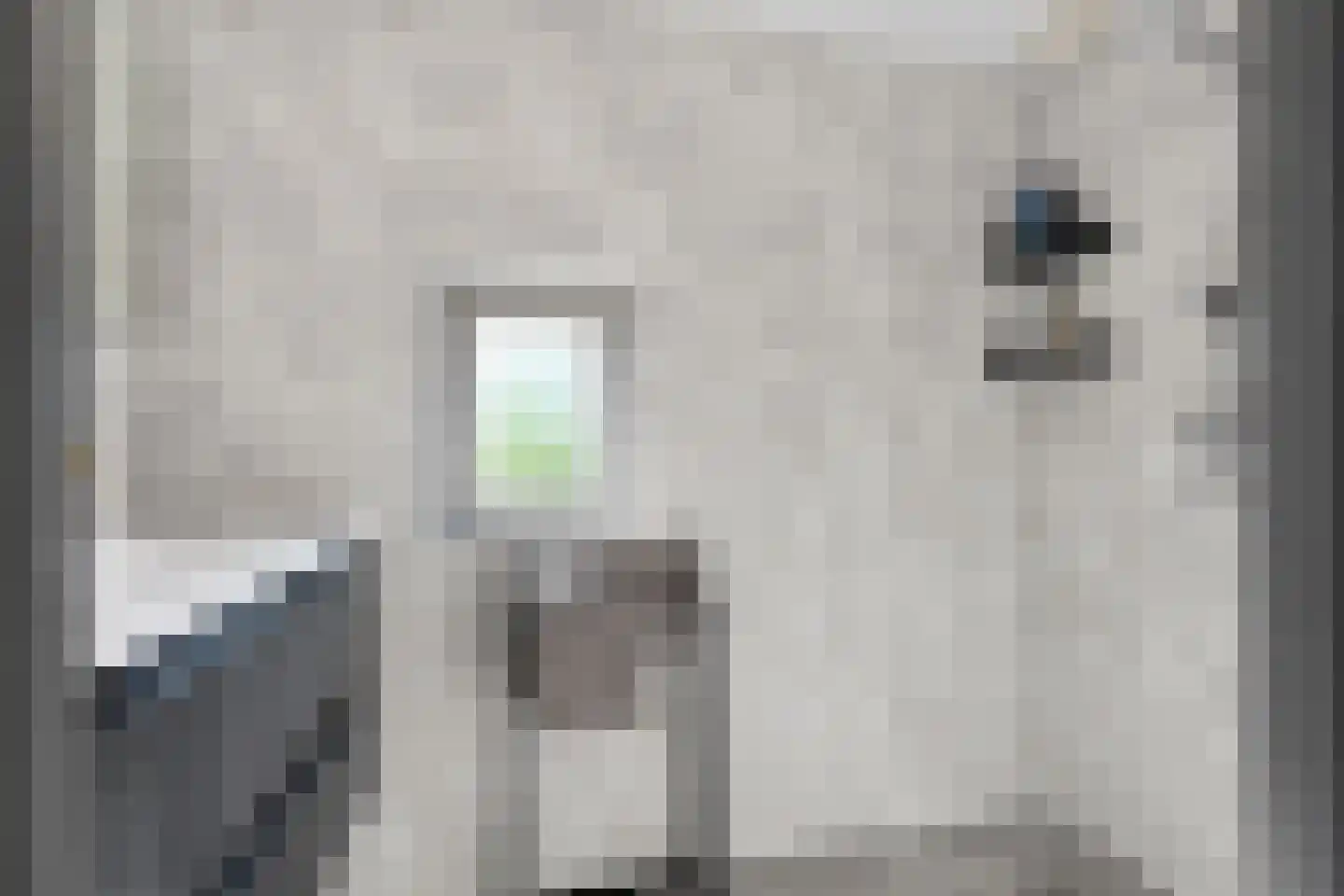 Meentstraat 2 Erichem thumbnail 54
