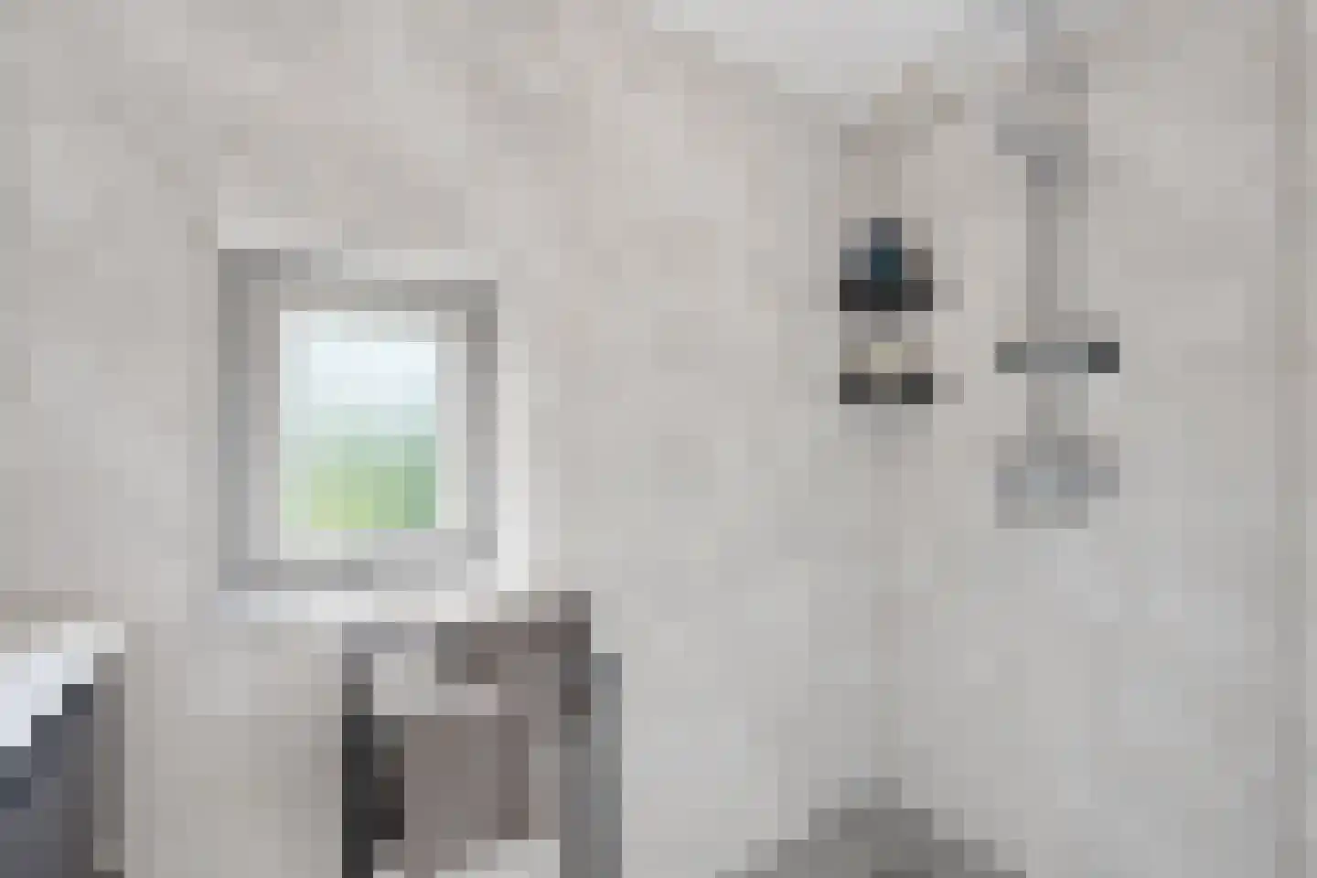 Meentstraat 2 Erichem thumbnail 55