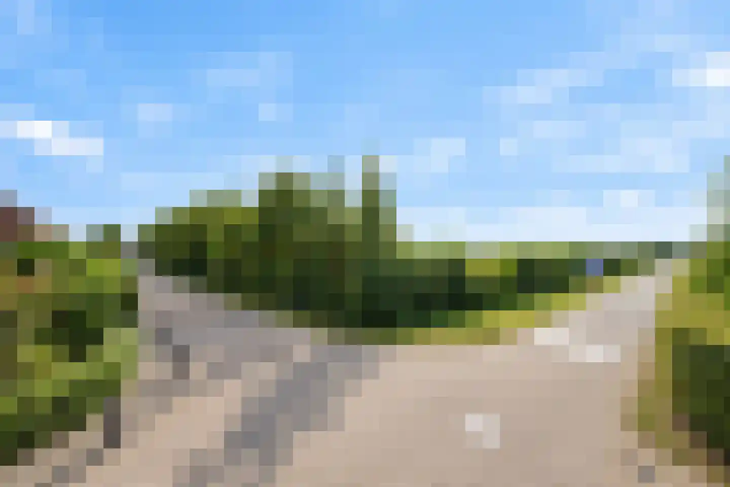 Meentstraat 2 Erichem thumbnail 6