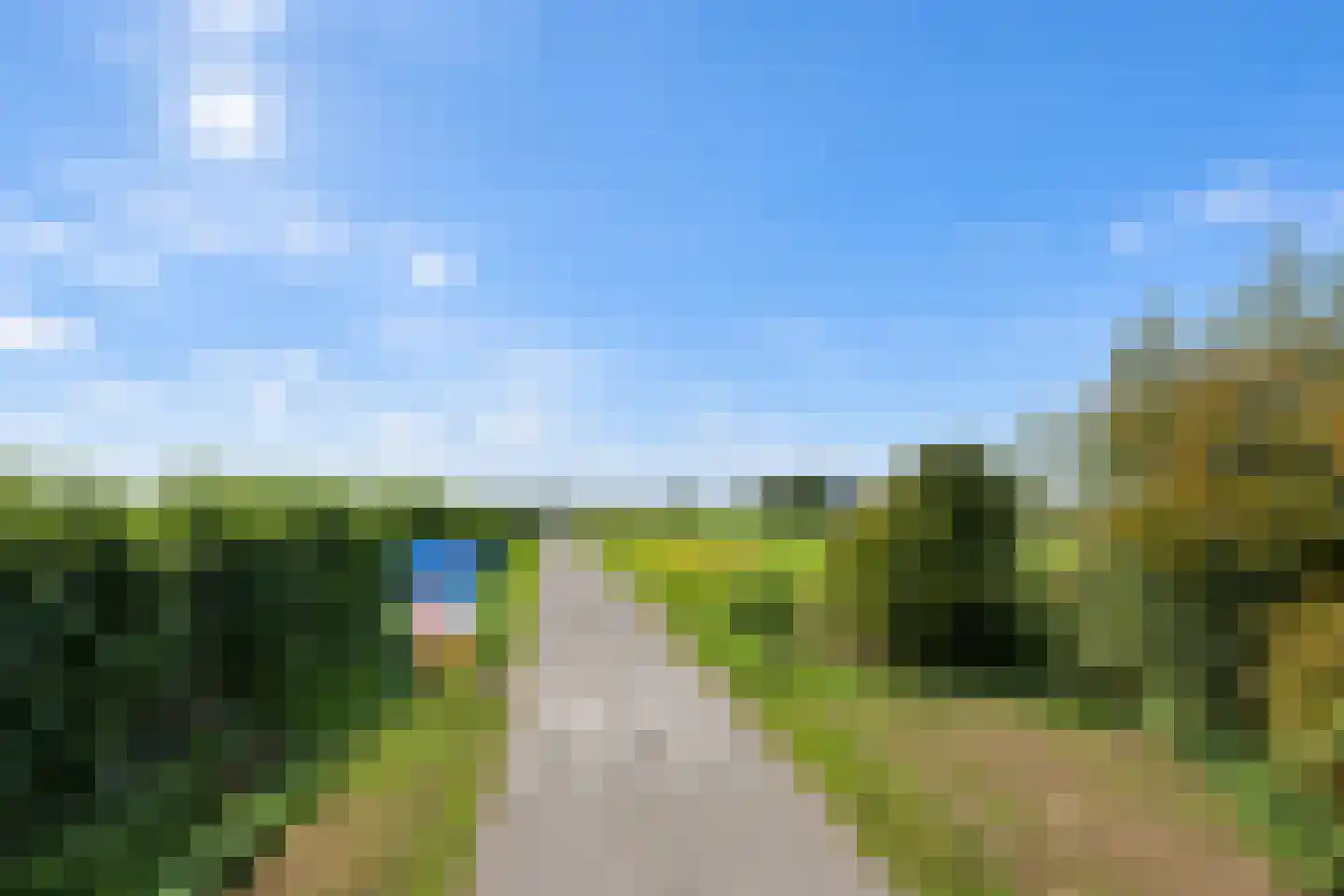 Meentstraat 2 Erichem thumbnail 7