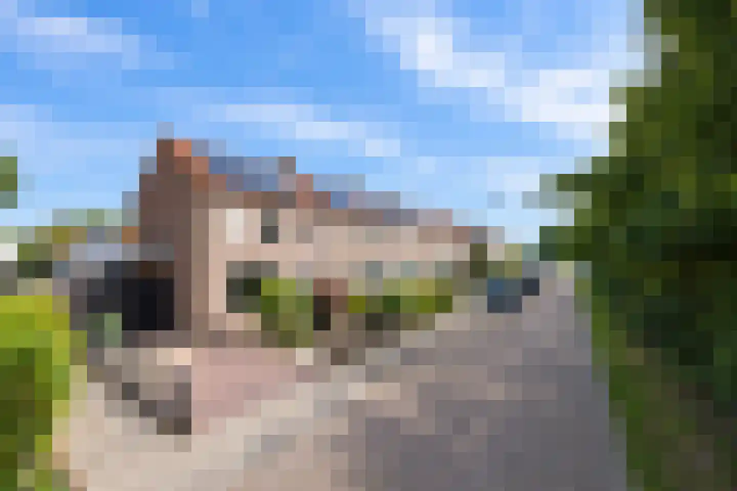 Meentstraat 2 Erichem thumbnail 8