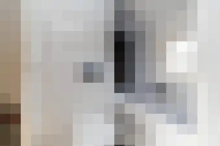 Meentstraat 3 Nijmegen thumbnail 23