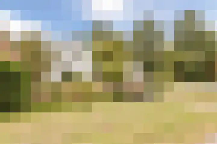 Meentstraat 3 Nijmegen thumbnail 24
