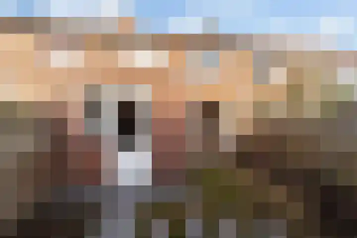 Meentstraat 3 Nijmegen thumbnail 24