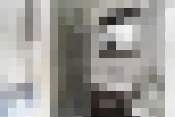 Meentstraat 3 Nijmegen thumbnail 5