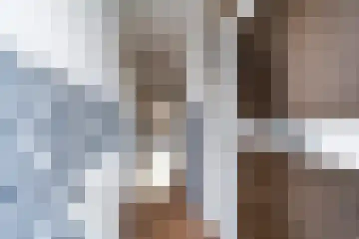 Meentstraat 3 Nijmegen thumbnail 7