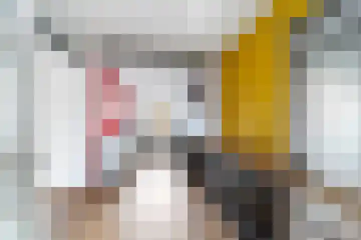 Meentstraat 3 Nijmegen thumbnail 9