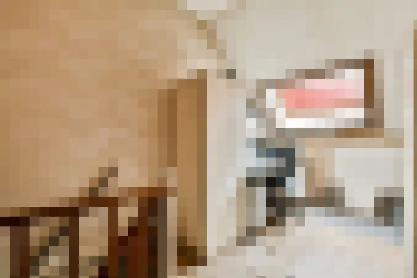 Meentstraat 55 Amsterdam thumbnail 20