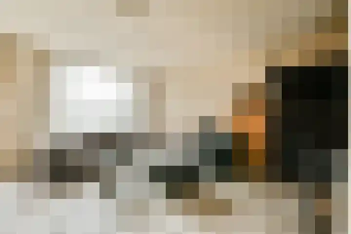 Meentstraat 55 Amsterdam thumbnail 4